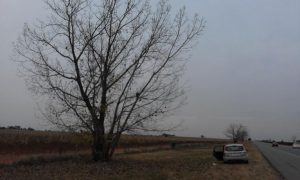 Hammies Sprint Portable Station